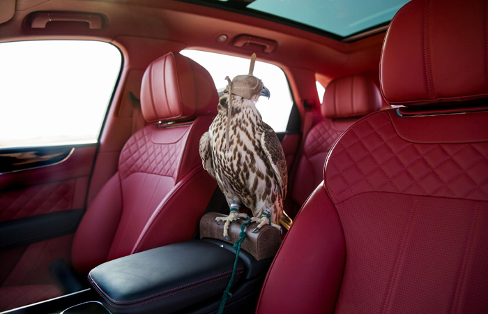 Bentley Bentayga Falconry